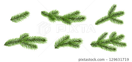 Fir branch set, Christmas tree branches, pine, spruce twig Fir branch set, Christmas tree branches, pine, spruce twig 129631719