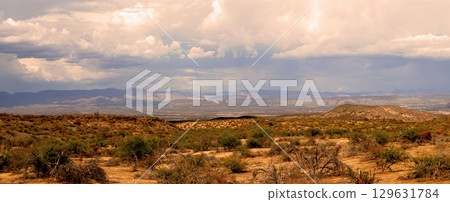Landscape Sonoran Desert Arizona 129631784