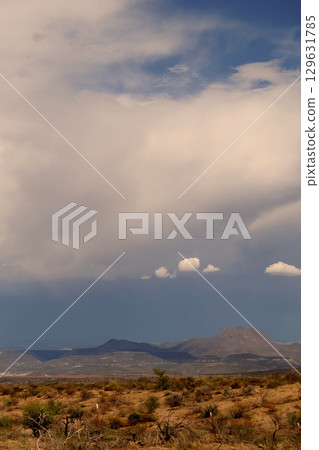Landscape Sonoran Desert Arizona 129631785