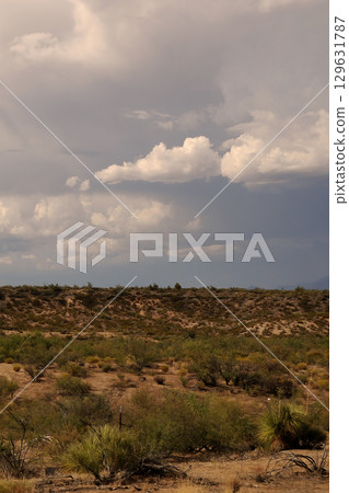 Landscape Sonoran Desert Arizona 129631787