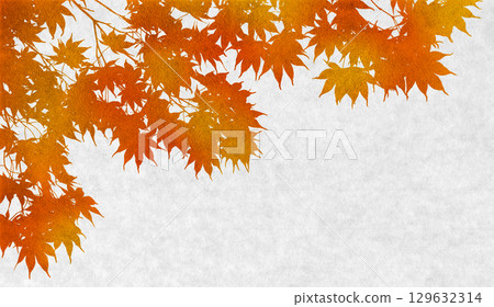 楓樹剪影藝術，深紅色的秋天背景 129632314