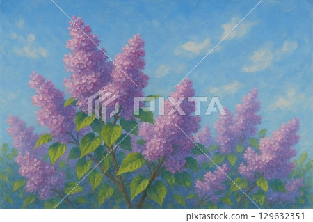 Lilac flowers 129632351