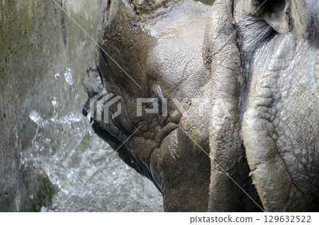 Sai's face 129632522