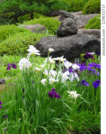 Scenery with flowers Scenery with flowers 129633715