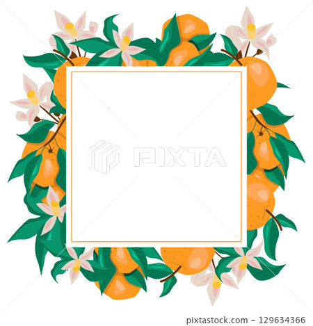 Square frame with oranges and flowers Square frame with oranges and flowers 129634366