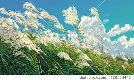 藍天白雲和搖曳的銀芒 129634441