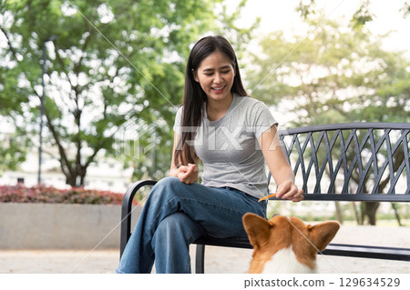 Caring Woman feeding corgi dog in park Caring Woman feeding corgi dog in park 129634529