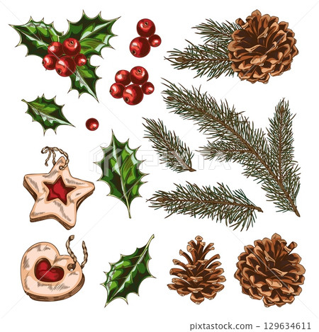 Winter set with pine branches, cones, holly, berries, leaves, cookies, hand drawn. 129634611