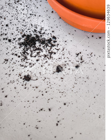 Spilled soil creating a mess on a white surface next to a terracotta pot copy space 129634639