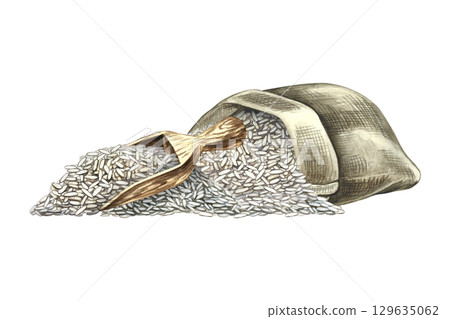 An overturned sack of rice and a wooden scoop. Hand-drawn watercolor illustration. Element of menu, recipe, and cookbook design. For banners, flyers, packaging, labels, and more. 129635062