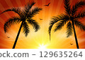Tropical sunset with palm tree silhouettes flying birds and yellow sky background travel summer 129635264