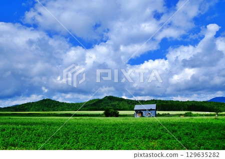 蕎麥花觀賞點：白毯花田（北海道幌加內町） 129635282