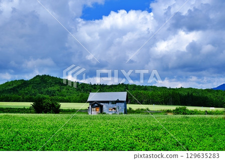 蕎麥花觀賞點：白毯花田（北海道幌加內町） 129635283
