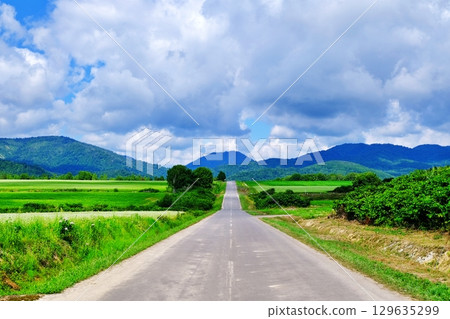 Buckwheat flower viewing point: Silver Hill (Horokanai Town, Hokkaido) 129635299