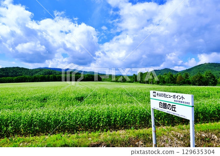 蕎麥花觀賞點：銀之丘（北海道幌加內町） 129635304