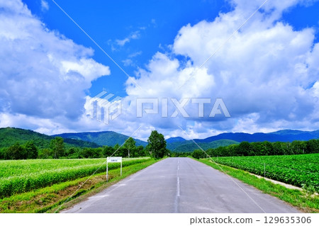 蕎麥花觀賞點:銀之丘(北海道幌加內町) 蕎麥花觀賞點:銀之丘(北海道幌加內町) 129635306
