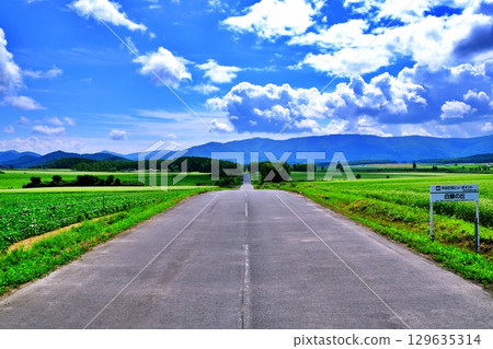 Buckwheat flower viewing point: Silver Hill (Horokanai Town, Hokkaido) Buckwheat flower viewing point: Silver Hill (Horokanai Town, Hokkaido) 129635314