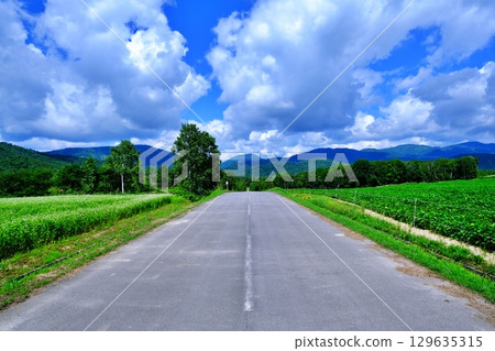 蕎麥花觀賞點：銀之丘（北海道幌加內町） 129635315