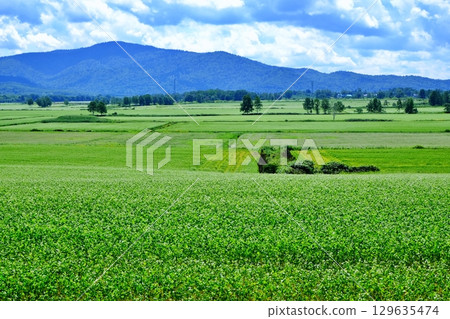 View from Sobanooka Observatory (Horokanai Town, Hokkaido) 129635474