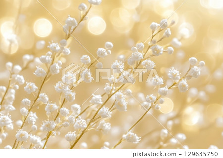 Soft white flowers shimmer in golden light during a serene evening 129635750