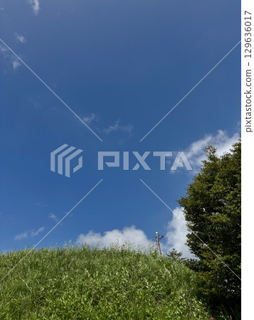 Pleasant blue sky 129636017