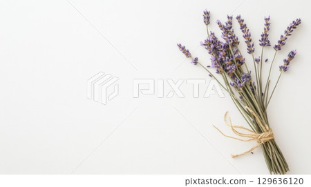 A bundle of dried lavender tied with twine on white background, perfect rustic botanical element for farmhouse decor, wellness products, or minimalist interiors. A bundle of dried lavender tied with twine on white background, perfect rustic botanical element for farmhouse decor, wellness products, or minimalist interiors. 129636120
