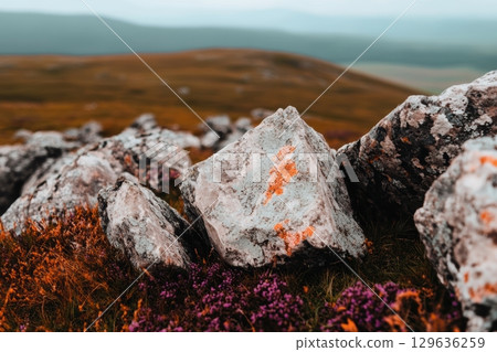 Natural landscape of rocky terrain with colorful heather in a misty humidity 129636259