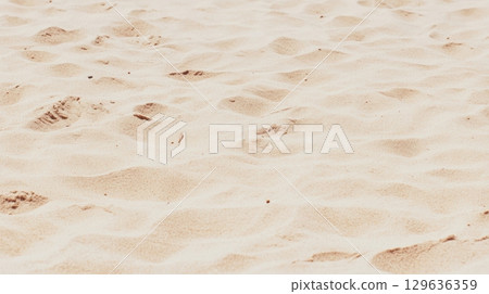 Sand texture on a warm beach during midday sun 129636359
