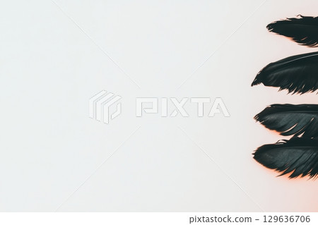 Elegant dark feathers arranged against a soft white background in a minimalist composition Elegant dark feathers arranged against a soft white background in a minimalist composition 129636706