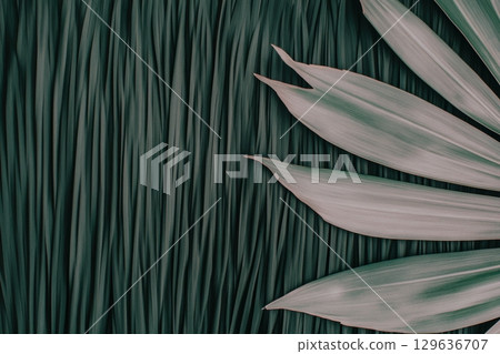 Elegant green foliage showcases beautiful textures in a serene natural setting Elegant green foliage showcases beautiful textures in a serene natural setting 129636707