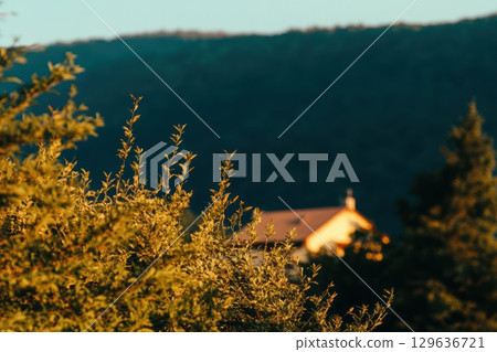 Sunset glow on a house nestled among green trees in a serene landscape 129636721