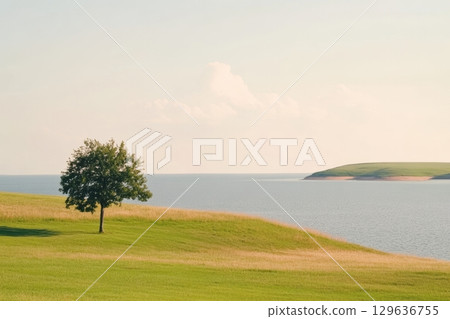 Tranquil lakeside view with a lone tree on a sunny day 129636755