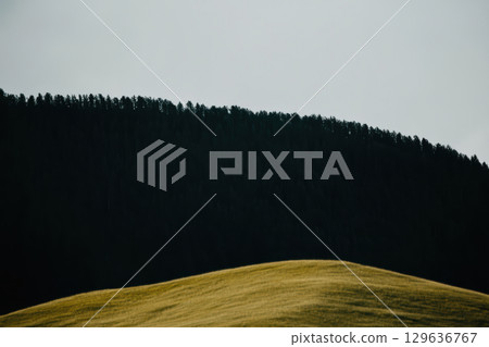 Rolling hills under a cloudy sky with a dark forest backdrop in late afternoon light 129636767