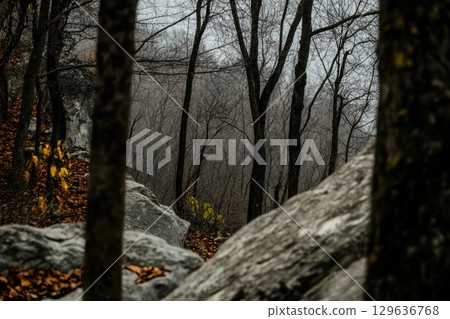 Autumn landscape featuring rocky terrain and bare trees in a foggy forest setting 129636768
