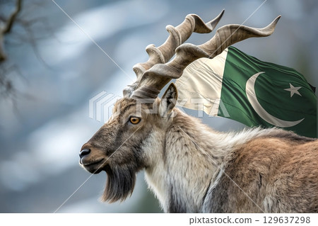 Close up of a markhor with large horns and the pakistan flag behind it 129637298