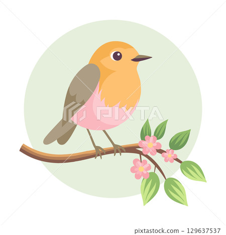 Cute robin bird sits on a tree branch with flowers. Flat style illustration. 129637537