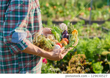 Basket with different fresh vegetables herbs in woman's hands outdoor 129638527