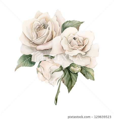 Rose on stem with bud and leaves. White garden flower arrangement. Watercolor hand painted floral isolated illustration for wedding design mother's day card home textile fabric crockery label logo 129639523