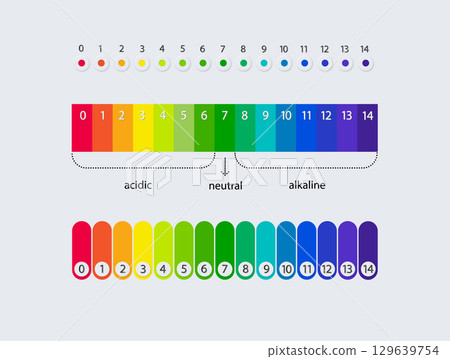 pH scale chart for acid and alkaline solutions. Acid-base balance infographic. Vector 129639754