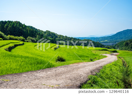 夏日田園風光【坂本梯田】(三重縣龜山市) 夏日田園風光【坂本梯田】(三重縣龜山市) 129640116