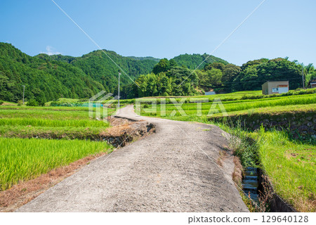 夏日田園風光【坂本梯田】（三重縣龜山市） 129640128