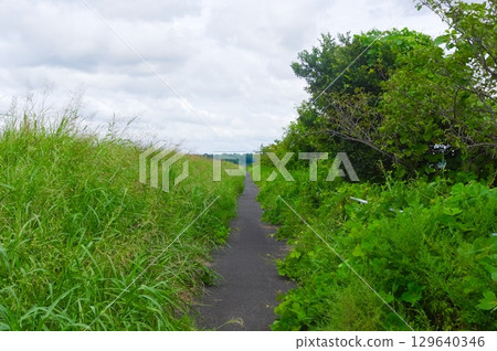 Inbanuma Cycling Road, Sakura City, Chiba Prefecture August 2025 Inbanuma Cycling Road, Sakura City, Chiba Prefecture August 2025 129640346