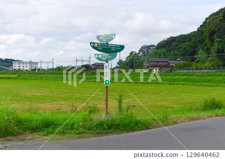 Sakura City, Chiba Prefecture Gold Medal Jogging Road area August 2025 129640462