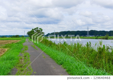 Kashima River, Sakura City, Chiba Prefecture August 2025 Kashima River, Sakura City, Chiba Prefecture August 2025 129640468