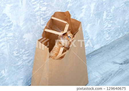 An inquisitive cat peeking out curiously from a brown paper bag 129640675
