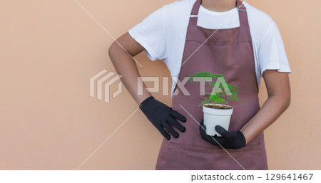 Florist holding in hand indoor asparagus plant in white pot on white background. Florist holding in hand indoor asparagus plant in white pot on white background. 129641467