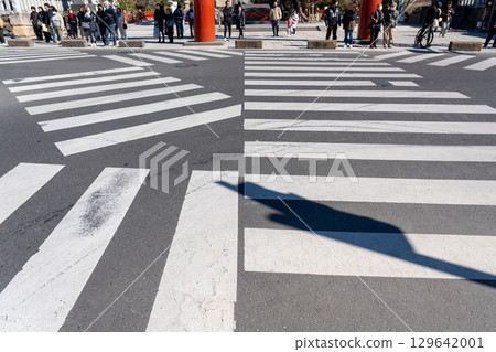 Kanagawa Prefecture, Kamakura, Tsurugaoka Hachimangu Shrine 129642001