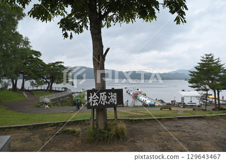 Looking at the sea 129643467