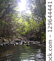 river flow and fallen leaves 129644441