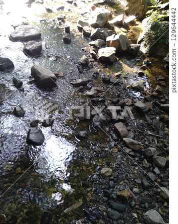 river flow and fallen leaves 129644442